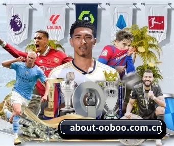 about-ooboo.com.cn APP